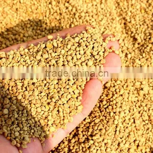 Wholesale Bee Pollen Prices Bee Pollen Pollen thumbnail-2