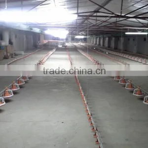 Steel Frame Type and Steel Material Metal Poultry Shed/galvanized Chicken Equipments Shed /chicken House Shed thumbnail-2