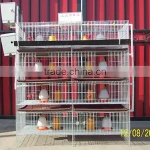 Chiken Egg Poultry Farm Equipment/chicken Cage for Sale/automatic Chicken Layer Cage thumbnail-3