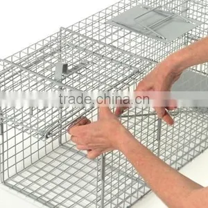 Rats Traps thumbnail-1