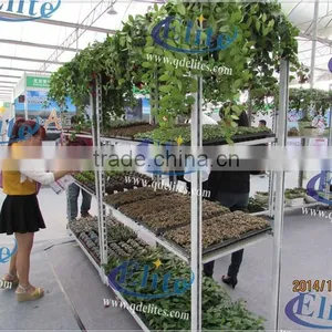 736 Nursery Rack thumbnail-6