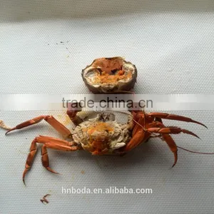 Crabs Continouous Microwave Cooker thumbnail-1