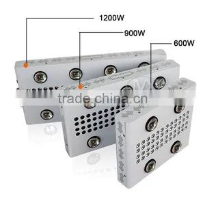Grow Light Led Silent Fan Cob Led Grow Lights For Medical Plants thumbnail-6