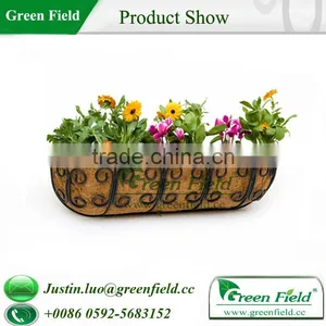 Window Box thumbnail-4