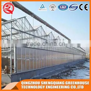Agriculture Glass Greenhouse With Hot Dip Galvanized Frame for Sale thumbnail-3