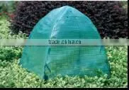 Garden Greenhouse for Insects Protection thumbnail-1