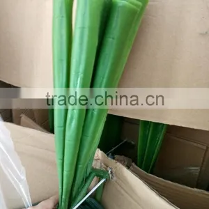 CHY070917 Garden Decoration Foliage Green Petel Leaf/decorative Areca Leaf thumbnail-3