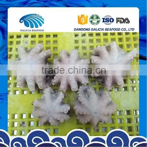 IQF Baby Octopus Flower Type thumbnail-1