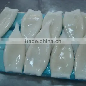 2016 Best Quality New Arrival Squid Tubes for Sale thumbnail-3