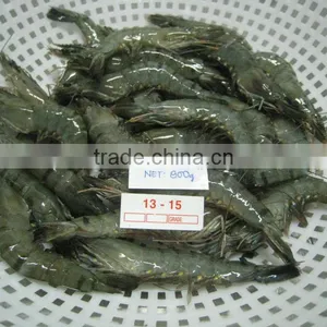 Shrimp thumbnail-1
