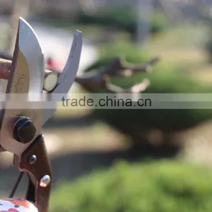 Round Blade Razor Sharp Garden Clippers, Tree Trimmers, Secateurs and Steel Bypass Pruner thumbnail-5