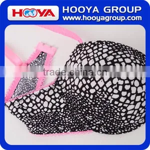 2016 Latest Sexy Design Net Bra Ladies Bra And Panties thumbnail-5