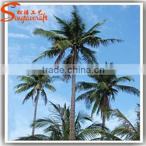 Latest Design Ourdoor Artificial Fack Fiberglass Coconut Tree Decoration Tree thumbnail-1