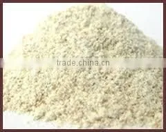 Chlorophytum Borivilianum Extract thumbnail-3
