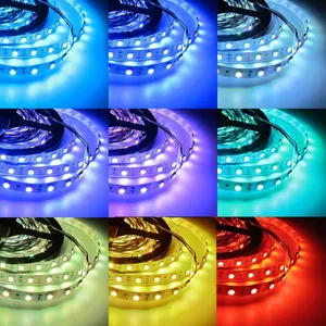 DC12V 5050 LED Strip RGB RGBW RGBWW 5M 10M Set LED Strip 5050 RGB 60LEDs/m + Touch Remote Controller+ 12V Power Adapter thumbnail-5