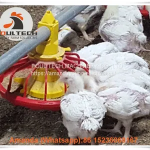 Colombia Chicken House Poultry Farming Equipment Broiler Floor Raising System & Chicken Deep Litter System With Automatic Drinking & Feeding Pan System in Chicken Coop thumbnail-3