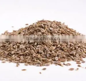 DILL SEED thumbnail-1