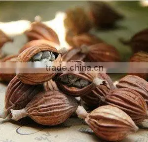 Amomum Villosum, Fructus Amomi,Food Seasoning thumbnail-1