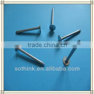 Electric Galvanized Flat Head Roofing Nails With Smooth Shank thumbnail-1