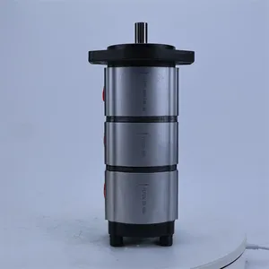 PLP20.8S0-LML-MT+PLP20.4S0+PLP20.10.5S0 PLP20.14D0-82E2-LGE/GD-N-EL PLP20.14-LOC-S7DFS-L-T AV -PV Gear Oil Pump Hydraulic Pump thumbnail-3
