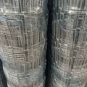 Poultry Husbandry Equipment Adds Corrosion High Zinc Coating Layer Deer Network Grassland Mesh thumbnail-1