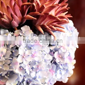 Low Price Cheapest Hydrangea Flowers Bonsai thumbnail-6