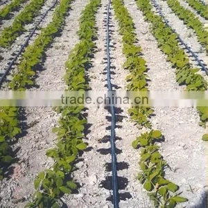 16mm Agricultural Plastic Irrigation Pipe thumbnail-1
