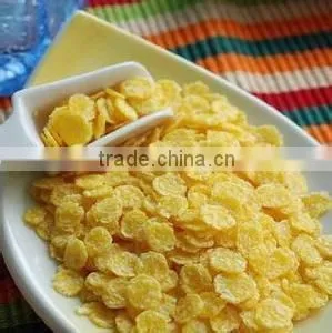 Cornmeal and Cornflakes Processing Line thumbnail-4