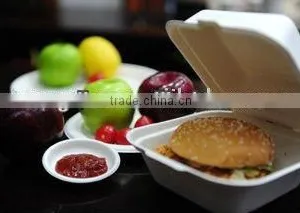Eco-green Bagasse Small Hamburger Box thumbnail-1