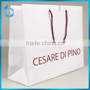 2015 New Fine Custome Logo Printed Shopping Bag ,gift Bag,paper Bag With Handle for Snowsuit/winter Clothes thumbnail-1