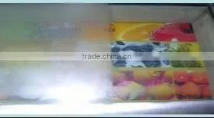 Mirror Film thumbnail-3