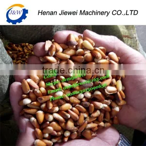 Pine Nut Cracking Machine|Nut Cracking Machine thumbnail-6