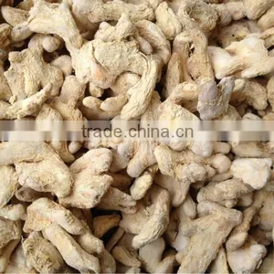 Dried Ginger Whole Herb of Spices Exporter thumbnail-1