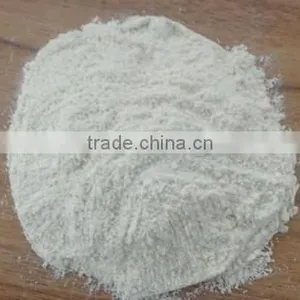 Garlic Powder thumbnail-1