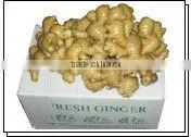 Fresh Chinese Ginger thumbnail-1