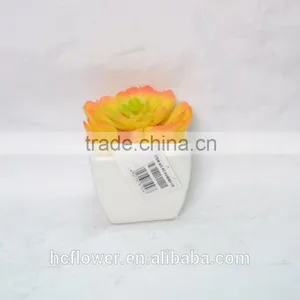 Mini Artificial Succulent Plants With Plastic Pot for Indoor Decoration thumbnail-1