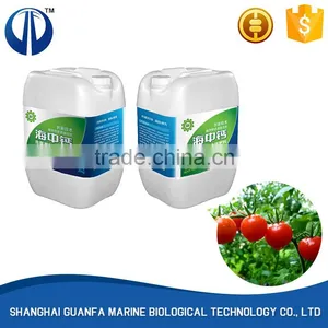 Promotional Top Quality Grape Fertilizer thumbnail-3