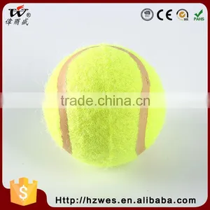 EN71-Certified Availabled Training LEVEL B Signature Jumping Tennis Ball thumbnail-5