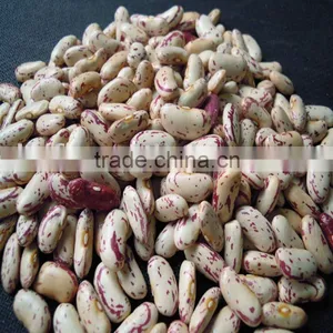 China Yian Light Speckled Kidney Beans 2010 Crop thumbnail-1