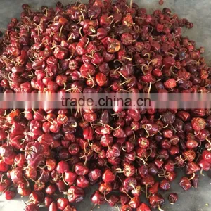 Round Red Chilles From Tamilnadu thumbnail-1