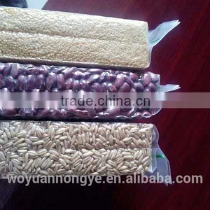 Oats thumbnail-2