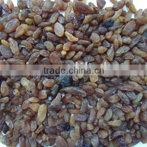 Red Raisin thumbnail-1
