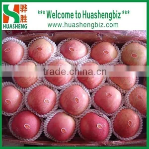Latest Red Apple Price/sweet Red Fresh Apple for Sale thumbnail-1