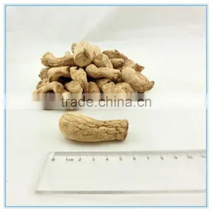 Bulk Dehydrated Shiitake Mushroom Root for Canned Mushroom thumbnail-2