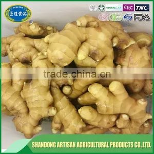 Fresh Ginger Price in China thumbnail-1