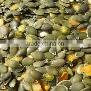 China Organic Pumpkin Kernels Grow Without Shell for Oil Use thumbnail-4
