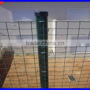 DM Factory Price Euro Fence at High Quality thumbnail-1