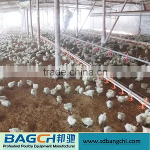 Competitive Price COntrolled Drinking Water System for Broiler House thumbnail-1