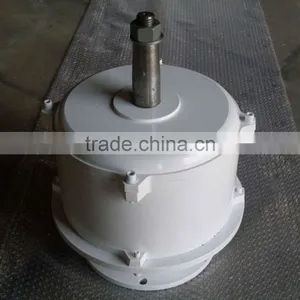 300w Small Magnetic Pmg Generator for Sale thumbnail-1