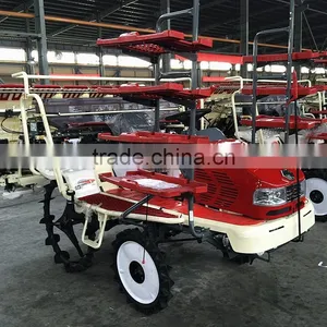 Wheat and Rice Transplanter With Power thumbnail-5